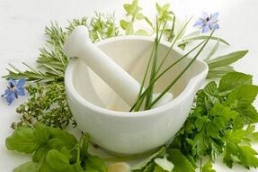 plants to increase power