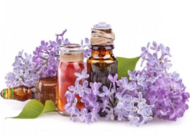 The lilac infusion
