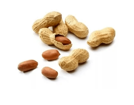 nuts